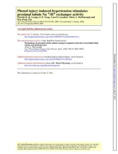 Phenol injury-induced hypertension stimulates proximal tubule Na  H  exchanger activity