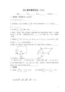 初二数学暑假作业(17)