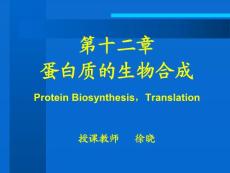第12章蛋白质的生物合成