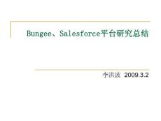 Bungee、Salesforce平臺研究總結