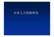 企业人力资源规划