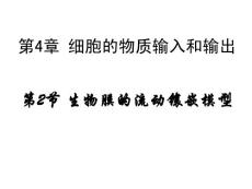 生物膜的流动镶嵌模型新授课件