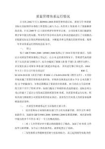 质量安全管理体系运行情况的总结报告两篇