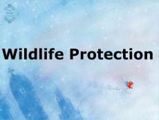 wildlife protection