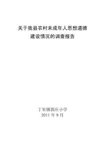 关于我县农村未成年人思想道德建设情况的调查报告