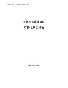 蓝牙耳机建设项目可行性研究报告范文模板
