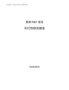 贵州POCT项目可行性研究报告模板