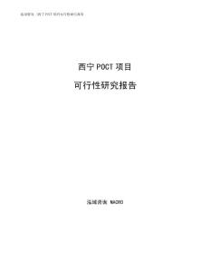 西宁POCT项目可行性研究报告模板
