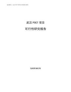 武汉POCT项目可行性研究报告