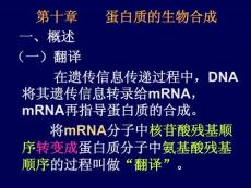 第十章  蛋白質(zhì)的生物合成