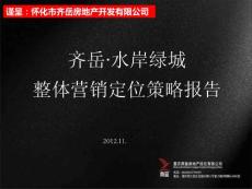 2012年11月懷化市齊岳水岸綠城整體營銷定位策略報告