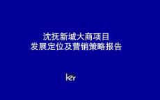 天启开启沈阳抚顺大商中心城项目发展定位