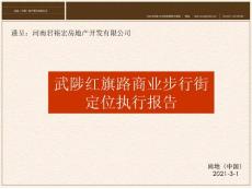 河南武陟縣紅旗路商業步行街定位執行報告