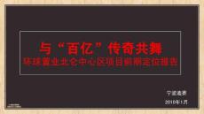 2010年1月寧波環(huán)球置業(yè)北侖中心區(qū)項目前期定位報告