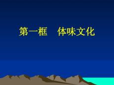 高中政治必修三 第一课《体味文化》