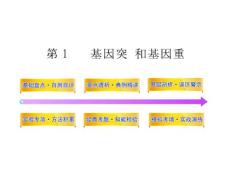 2012高三生物一轮同步辅导课件人教版：必修二第五章第1节 基因突变和基因重组