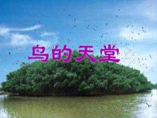 鸟的天堂课件