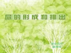 尿的形成和排出