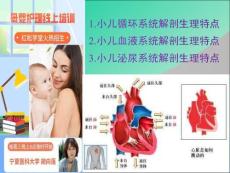 家庭育婴培训---第6次课：小儿各系统的解剖生理特点（3）