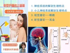家庭育婴培训---小儿各系统的解剖生理特点（4）