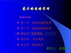 花卉的栽培管理