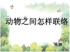 動(dòng)物之間怎樣聯(lián)絡(luò)課件ppt模板