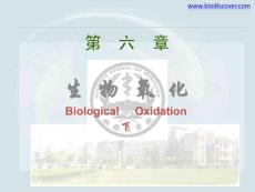 生物氧化（下）