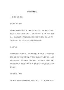 勐朗鎮(zhèn)概況