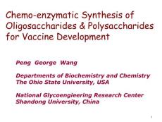 5.26.2011.SDU.MiniSymposium.on.Vaccines.4