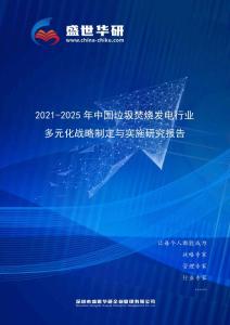2021-2025年中國垃圾焚燒發電行業多元化戰略制定與實施研究報告