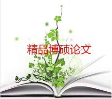 硕士学位论文-基于XML的电子病历系统的探索与实现（PDF格式可编辑）