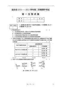 河南省洛阳市2010-2011学年高一生物下学期期中考试试题（扫描版）新人教版