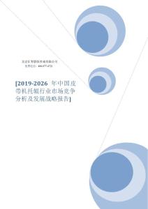 2019-2026年中國皮帶機托輥行業市場競爭分析及發展戰略報告