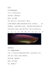 龍魚介紹