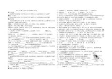 空中飞行的动物11