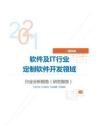 IT通讯软件及IT行业定制软件开发领域分析报告（研究报告）