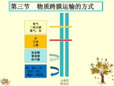 物质跨膜运输的方式