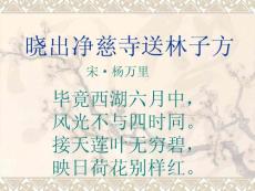 晓出净慈寺送林子方