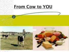 IMAU_26_Oct_Milk_from_farm_to_table