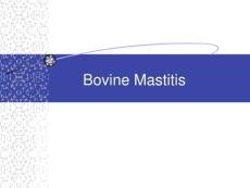 IMAU_27_Oct_Mastitis