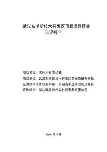 武漢東湖新技術開發(fā)區(qū)預算項目績效自評報告