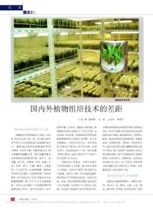 _國內(nèi)外植物組培技術(shù)的差距
