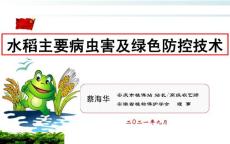 水稻主要病蟲害及綠色防控技術-蔡海華