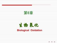 第七版生物化学PPT课件-第六章 生物氧化