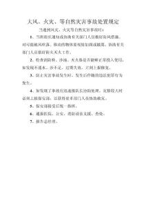 大风火灾等自然灾害事故