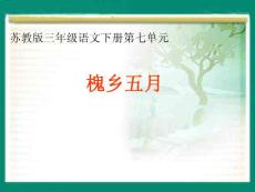 苏教版三年级下册《槐乡五月》PPT课件【最新】