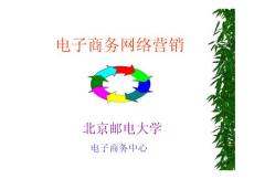 电子商务网络营销.PPT