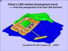 中国的液化天然气市场（英文版）