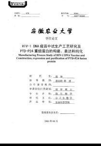 HIV1+DNA疫苗中试生产工艺研究及PTDP24重组蛋白的构建、表达和纯化