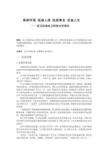 武漢凱迪電力財務分析報告